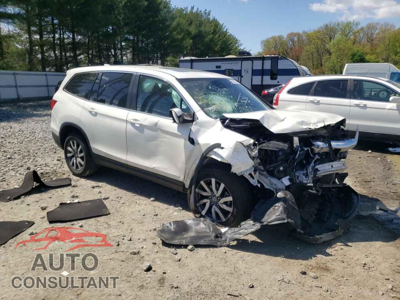 HONDA PILOT 2019 - 5FNYF6H5XKB084899