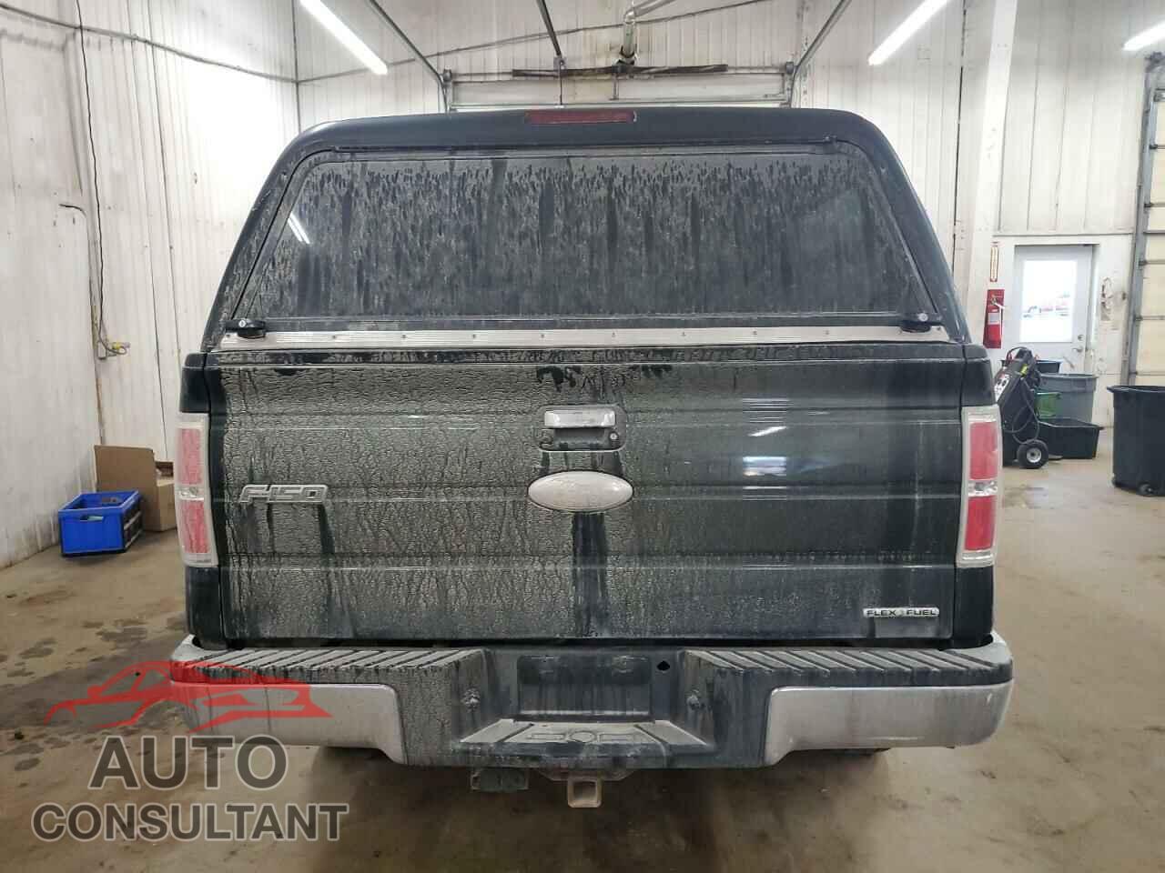 FORD F-150 2012 - 1FTFX1EF2CFB67583