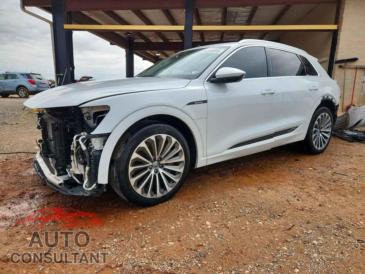 AUDI E-TRON 2019 - WA1VAAGE7KB022699