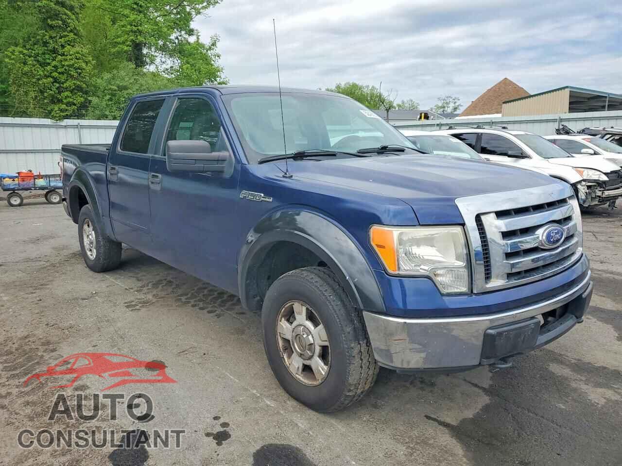 FORD F150 2010 - 1FTEW1E85AFA90401