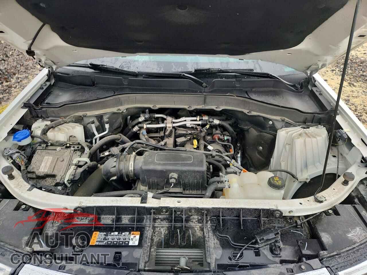 FORD EXPLORER 2023 - 1FMSK8DH4PGC02418