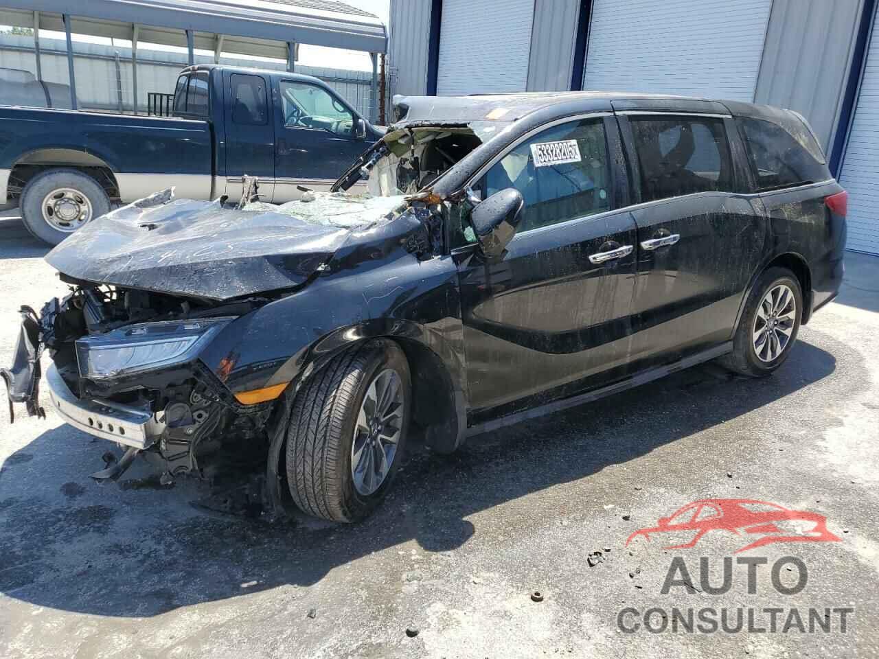 HONDA All Models 2022 - 5FNRL6H75NB003651