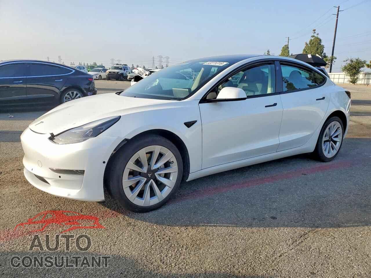 TESLA MODEL 3 2021 - 5YJ3E1EA3MF061467