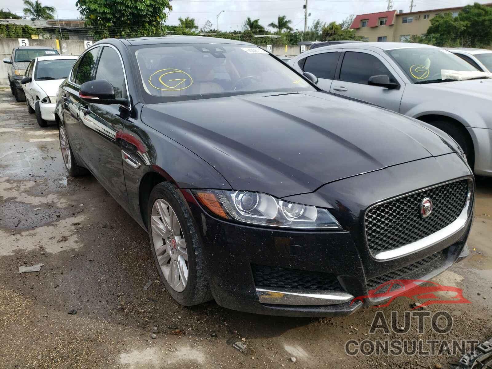 JAGUAR XF 2016 - SAJBD4BV7GCY24617