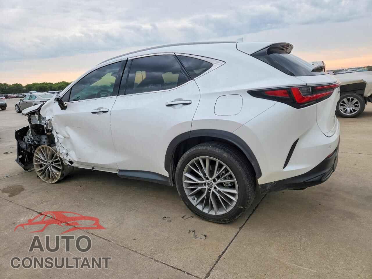 LEXUS NX 2023 - 2T2GKCEZ7PC010652