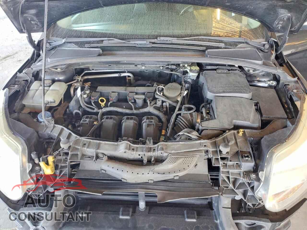FORD FOCUS 2013 - 1FADP3F23DL236157