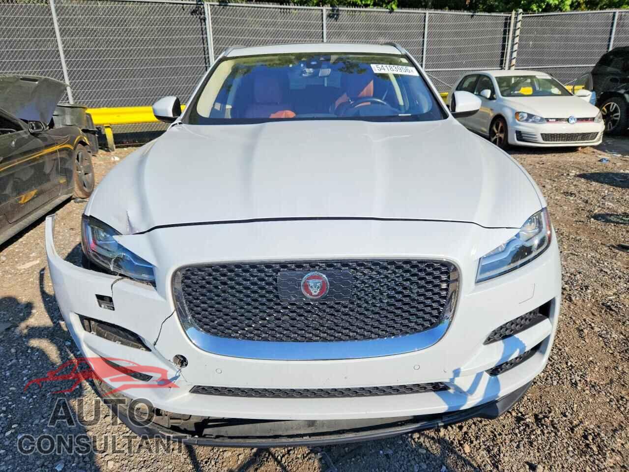 JAGUAR F-PACE 2019 - SADCN2GX6KA616509