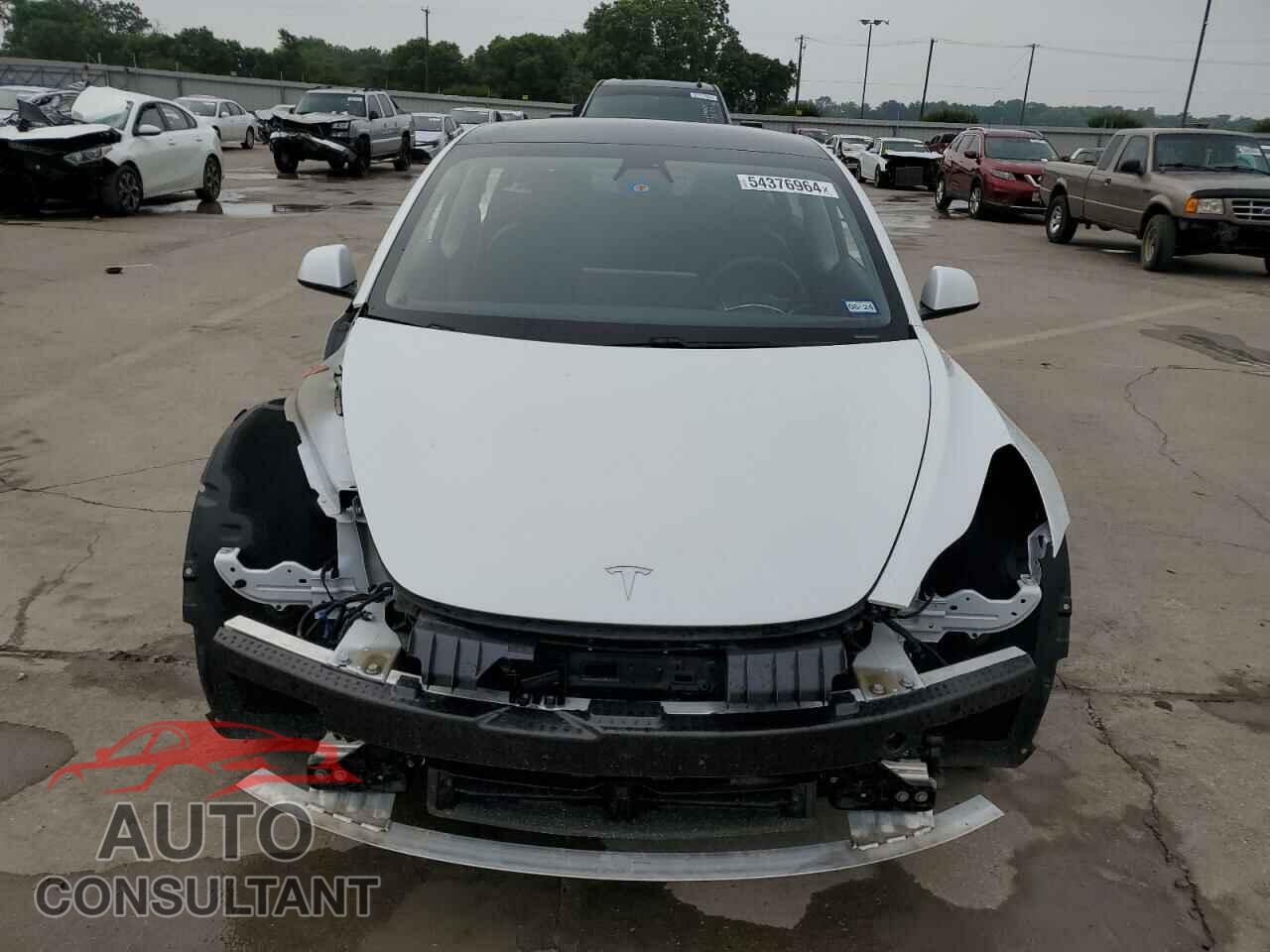 TESLA MODEL 3 2021 - 5YJ3E1EA2MF977783