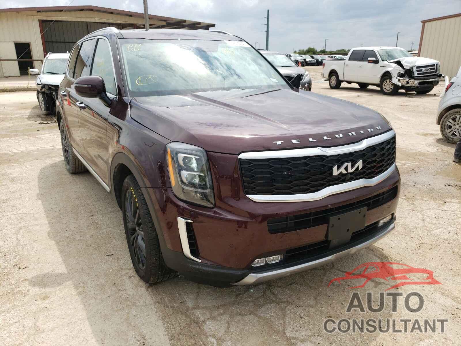 KIA TELLURIDE 2022 - 5XYP54HC6NG195335