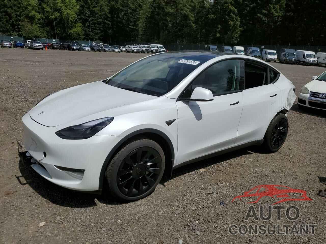 TESLA MODEL Y 2023 - 7SAYGDEE0PF676070