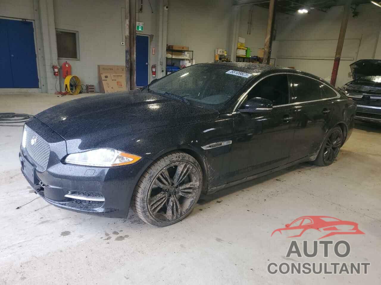 JAGUAR XJ 2011 - SAJXA1JC3BMV08082