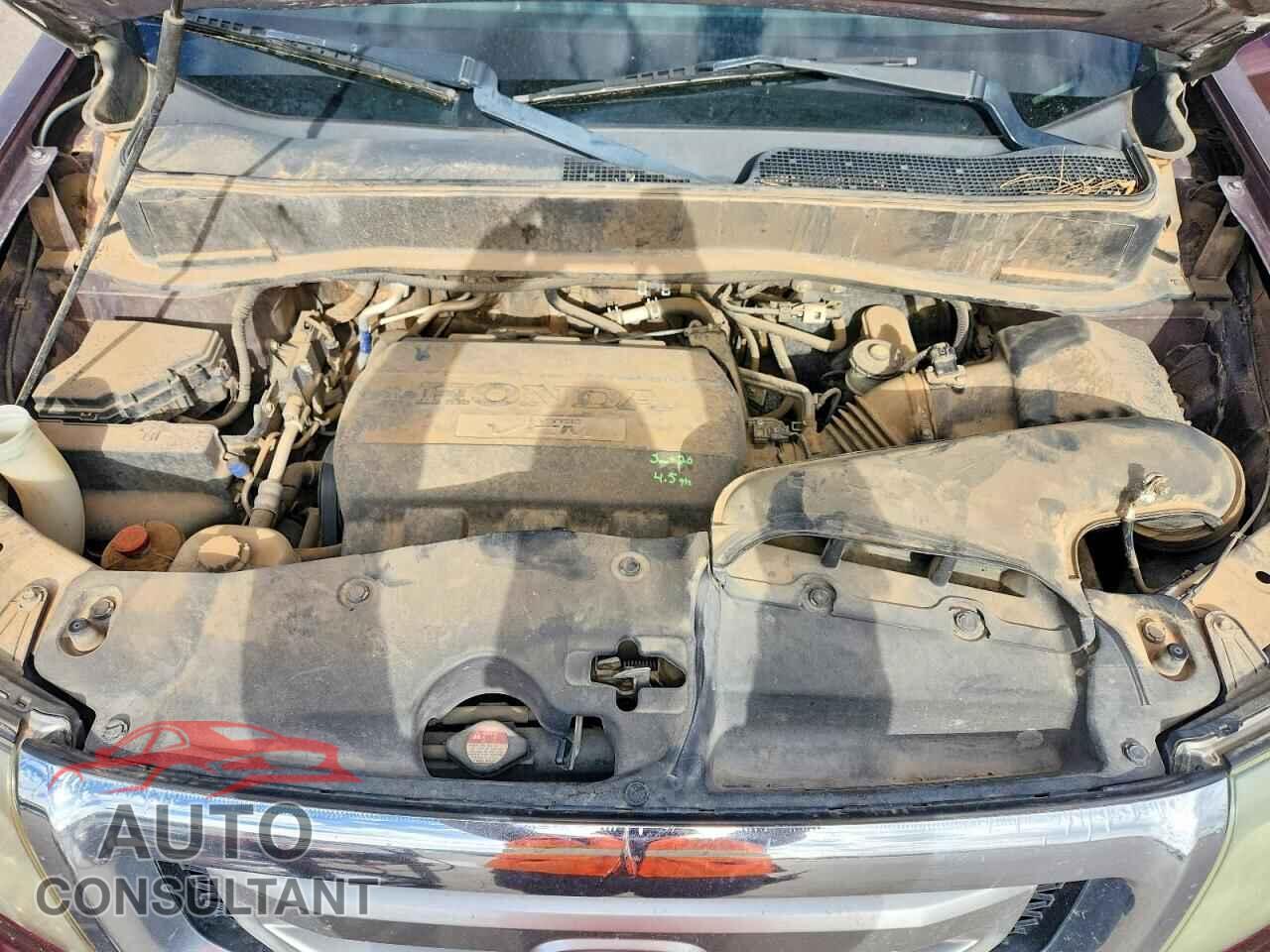 HONDA PILOT 2009 - 5FNYF48489B055178
