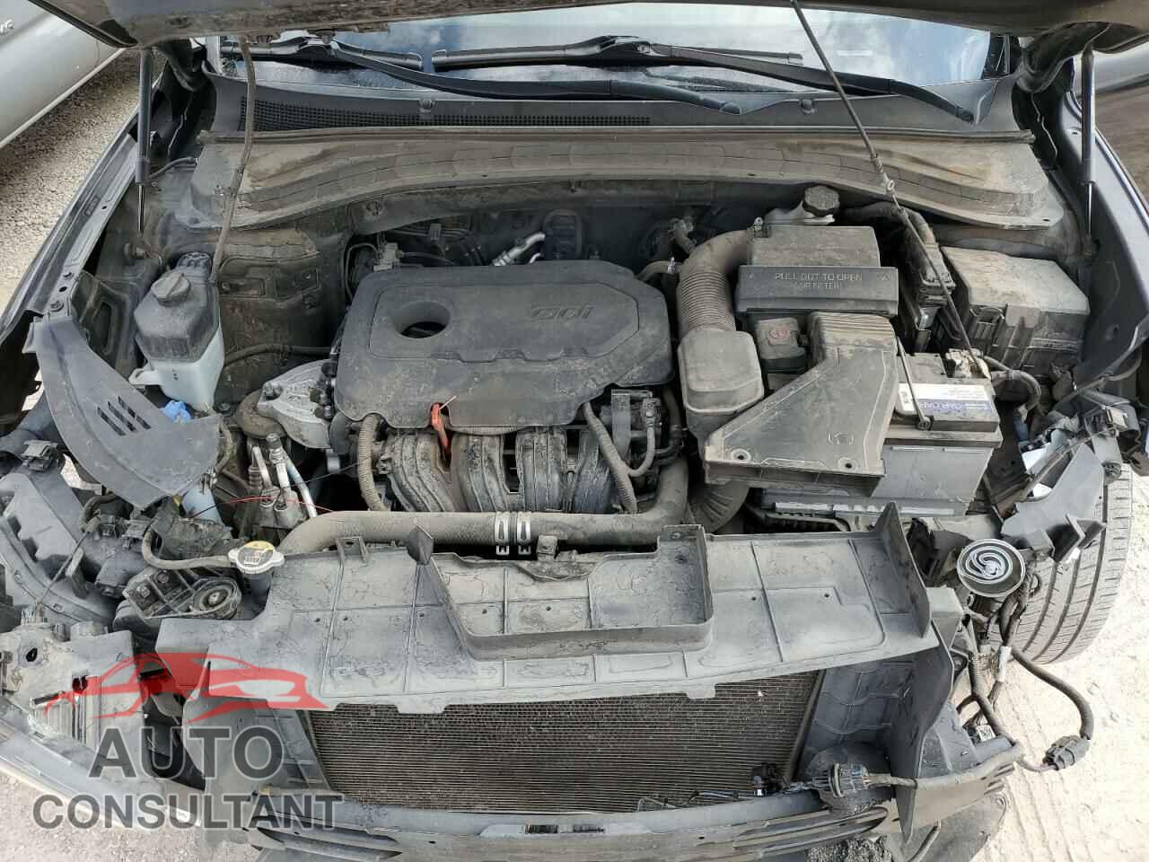 HYUNDAI SANTA FE 2019 - 5NMS3CAD7KH007534