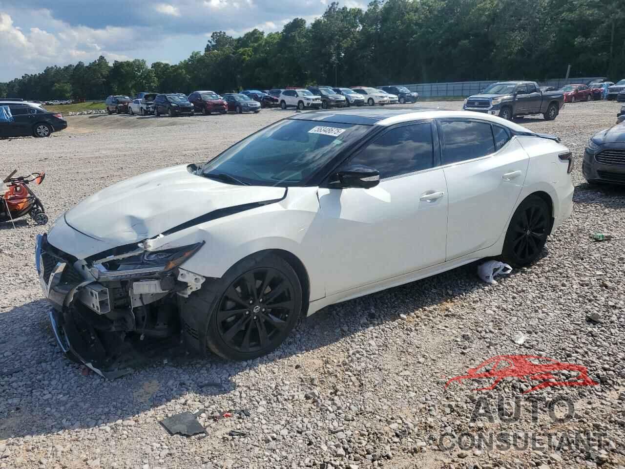 NISSAN MAXIMA 2019 - 1N4AA6AV5KC382774
