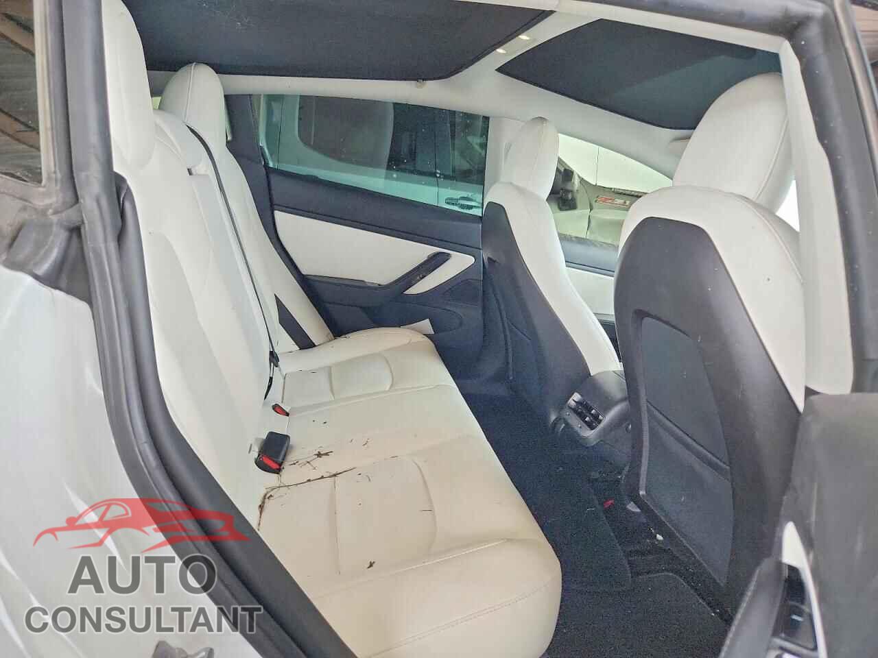 TESLA MODEL 3 2019 - 5YJ3E1EB3KF469585