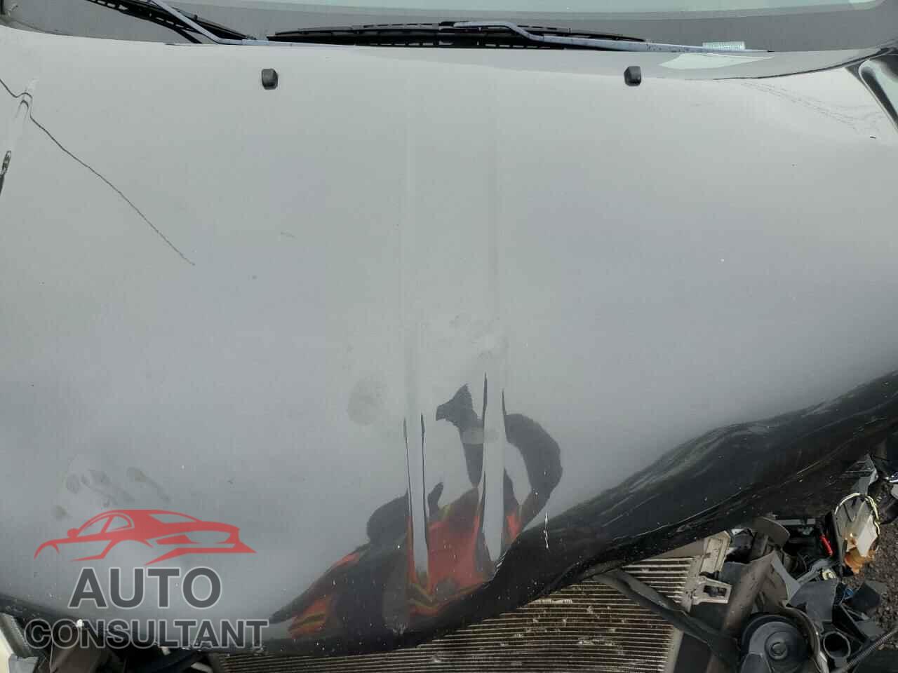 DODGE CARAVAN 2012 - 2C4RDGBG2CR183894