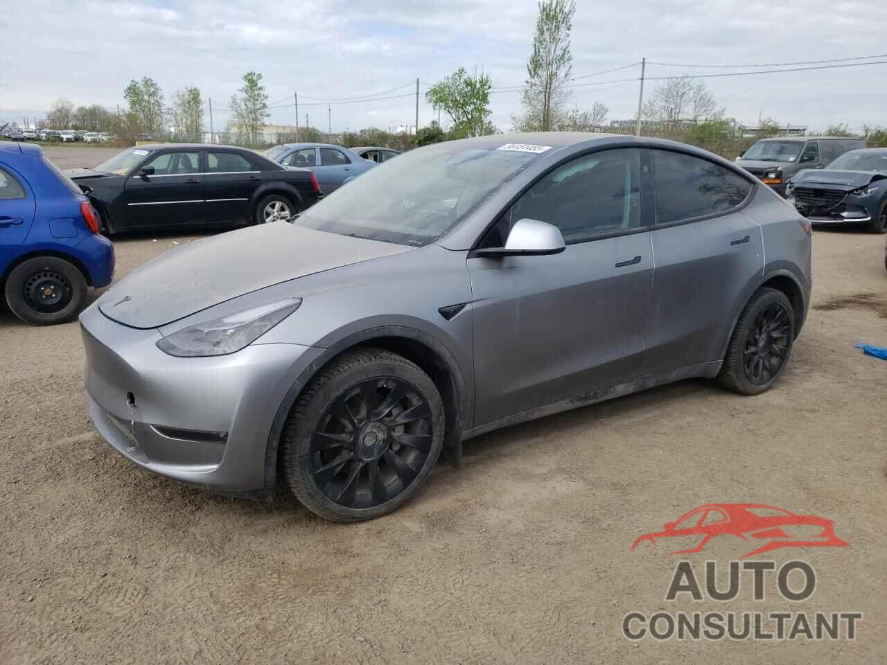 TESLA MODEL Y 2024 - 7SAYGDEEXRF181989