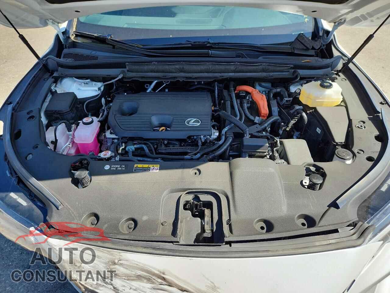 LEXUS UNKNOWN 2025 - 2T2BBMCA4SC073617