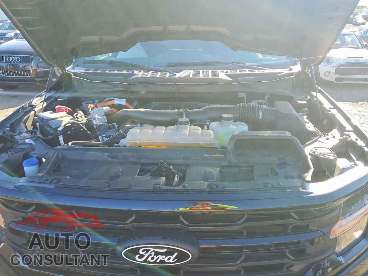 FORD All Models 2025 - 1FTFW3LD7SFA18536