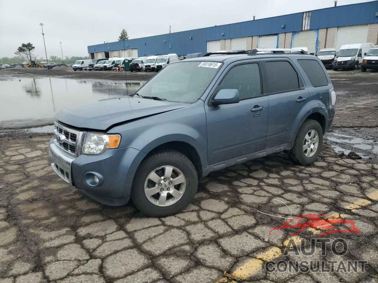 FORD ESCAPE 2011 - 1FMCU9EGXBKA54601