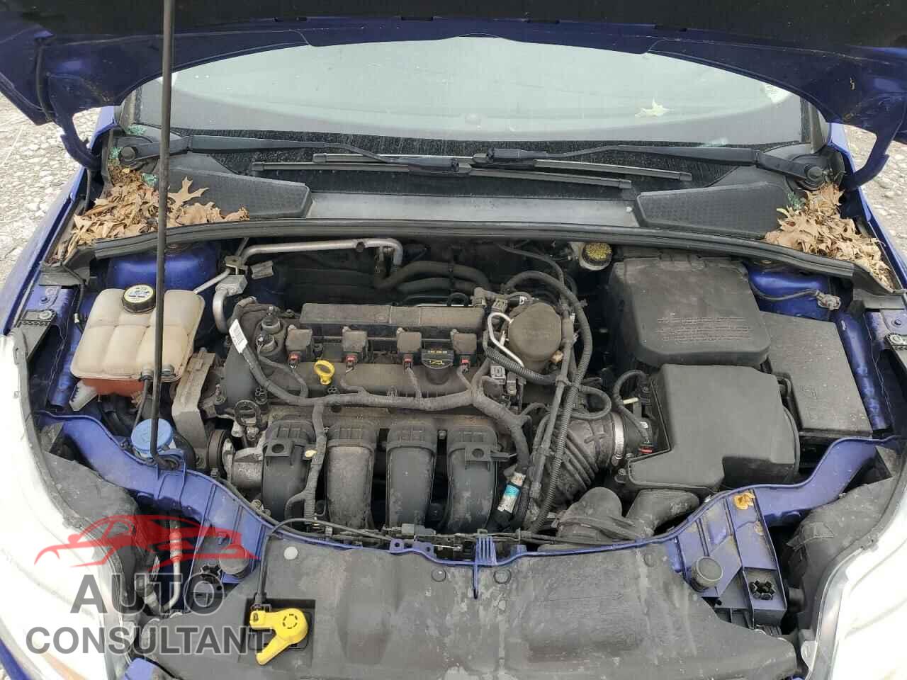FORD FOCUS 2013 - 1FADP3F23DL218421
