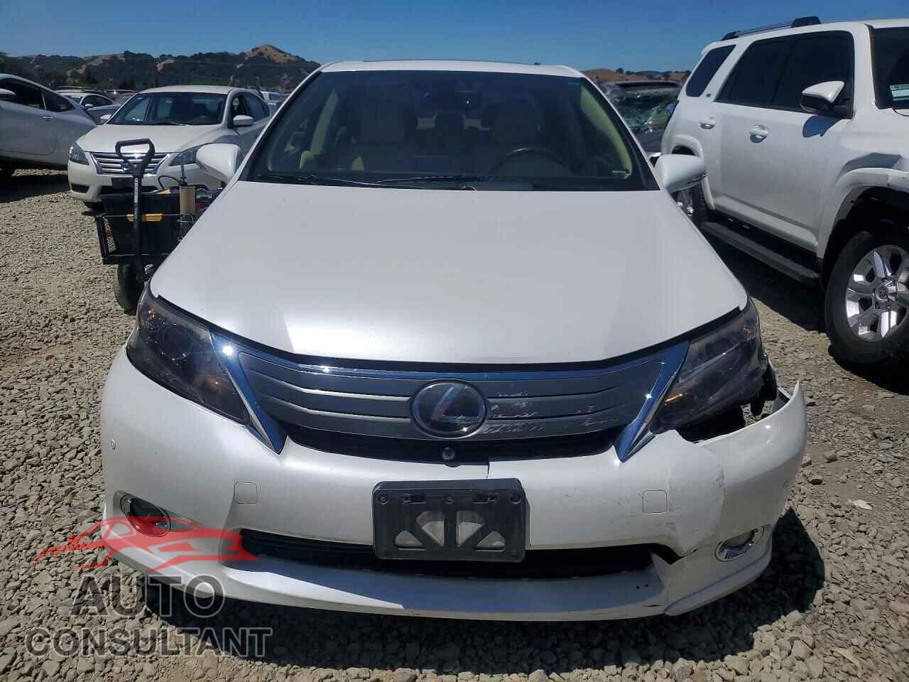 LEXUS HS 2010 - JTHBB1BA0A2007209