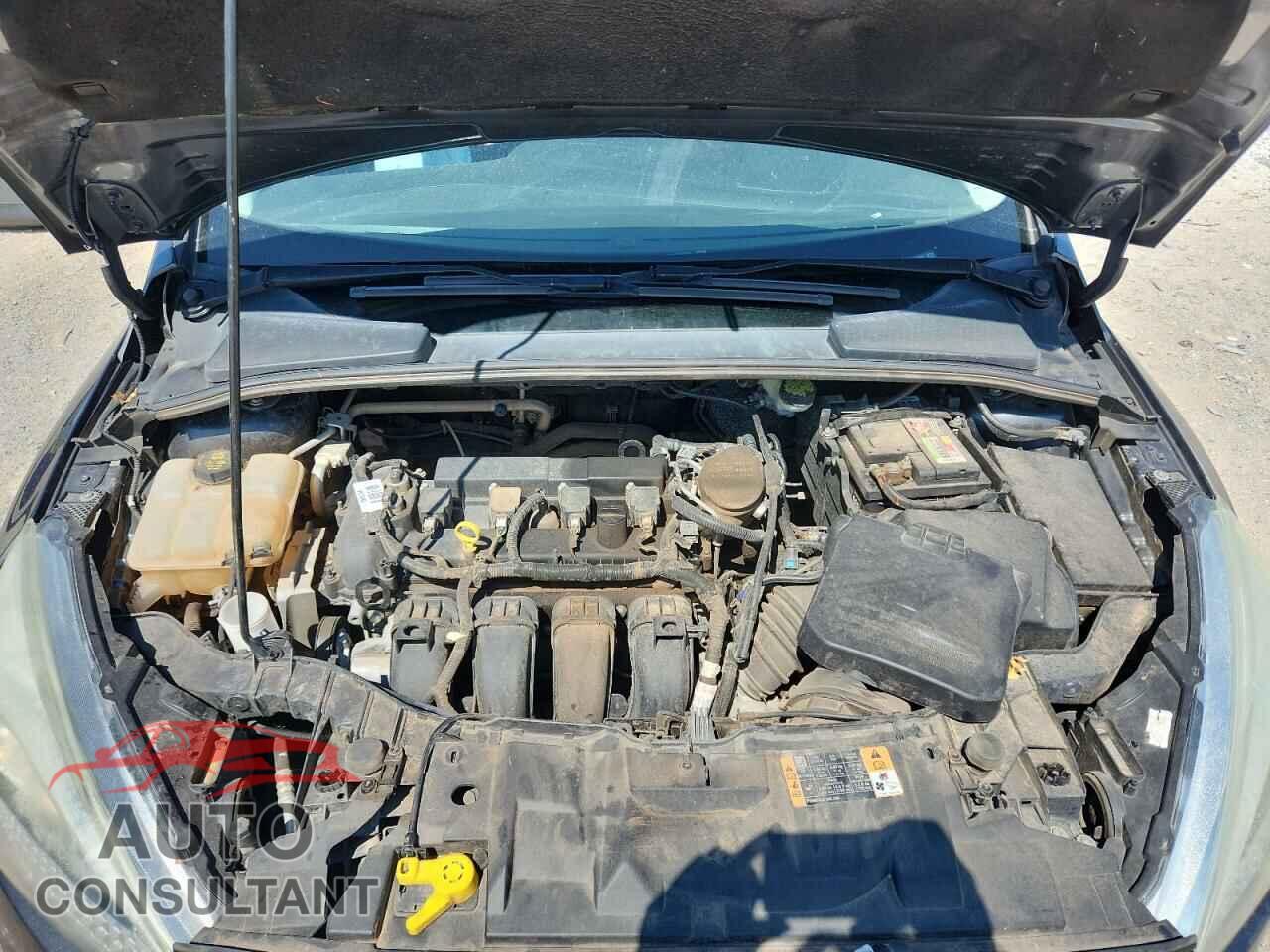 FORD FOCUS 2016 - 1FADP3F28GL321967