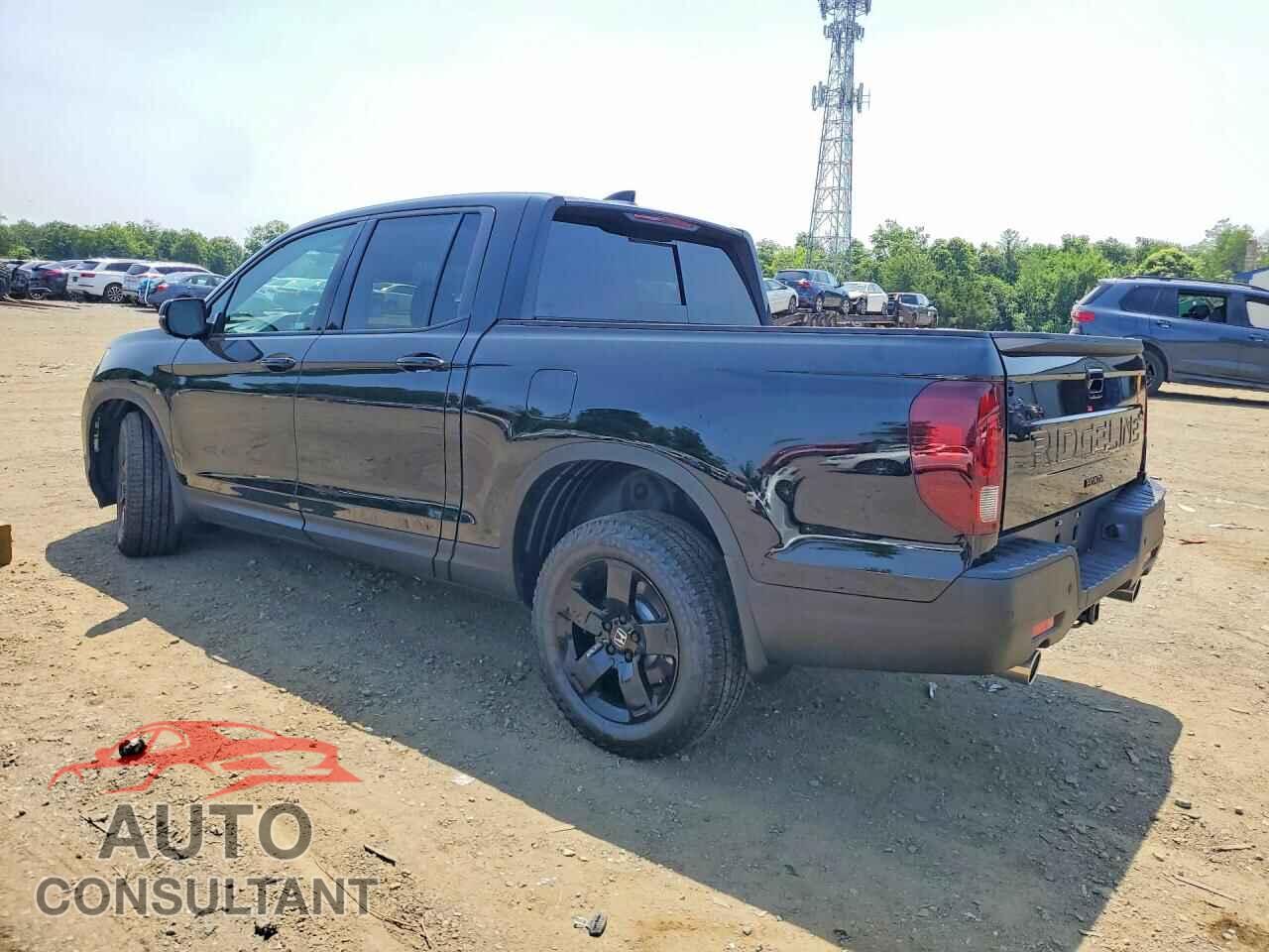 HONDA RIDGELINE 2025 - 5FPYK3F81SB045259
