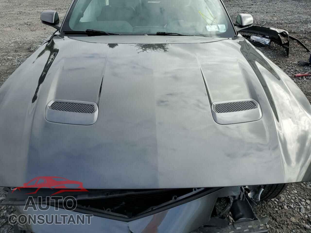 FORD MUSTANG 2019 - 1FA6P8CF4K5116091