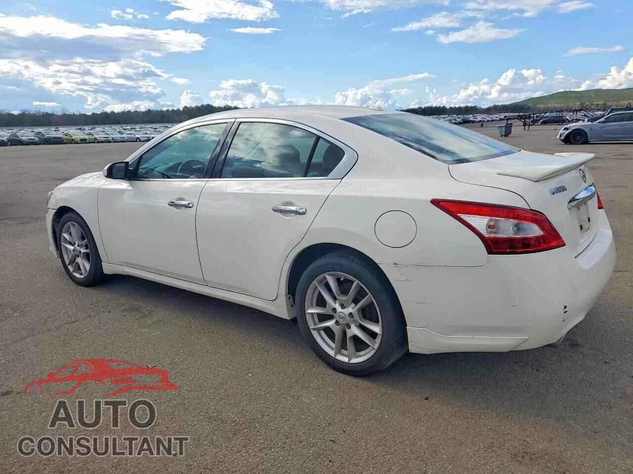 NISSAN MAXIMA 2011 - 1N4AA5AP7BC840469