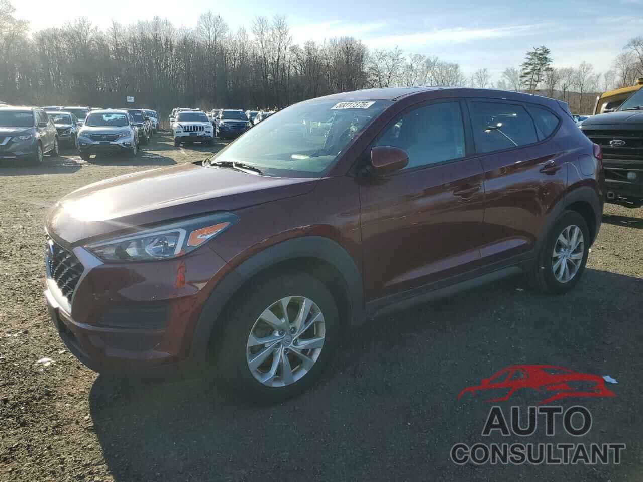 HYUNDAI TUCSON 2019 - KM8J2CA4XKU015520
