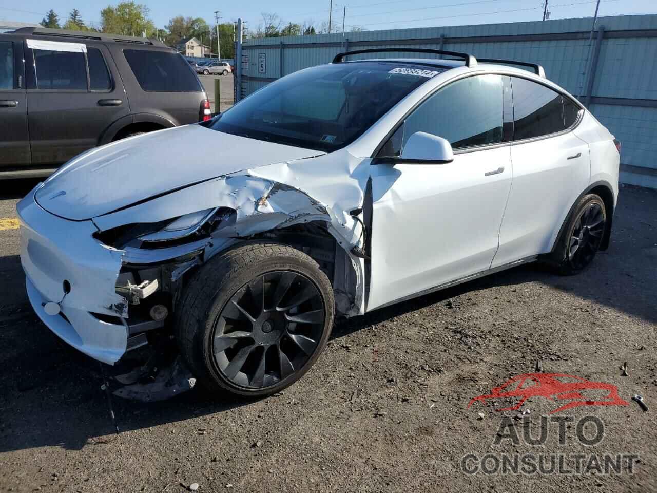 TESLA MODEL Y 2021 - 5YJYGDEE1MF161135