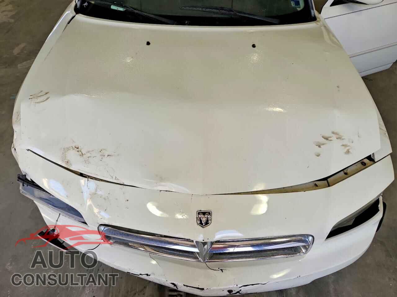 DODGE CHARGER 2010 - 2B3CA3CV3AH152548