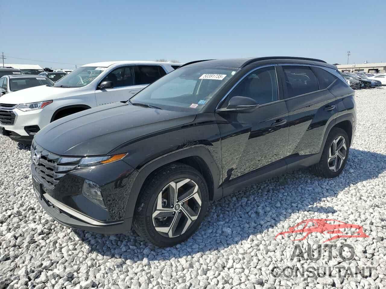 HYUNDAI TUCSON 2024 - 5NMJFCDE0RH297150