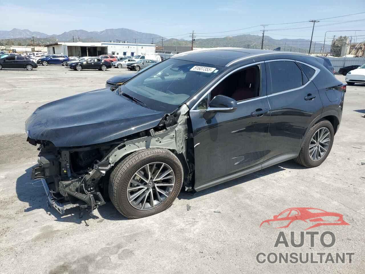 LEXUS NX 350H BA 2024 - JTJGKCEZ4R5018046