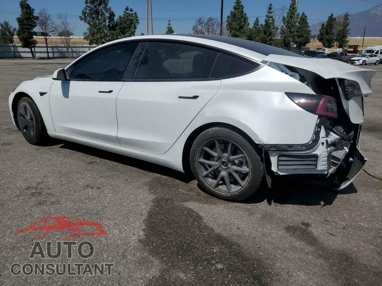 TESLA MODEL 3 2021 - 5YJ3E1EB2MF007067