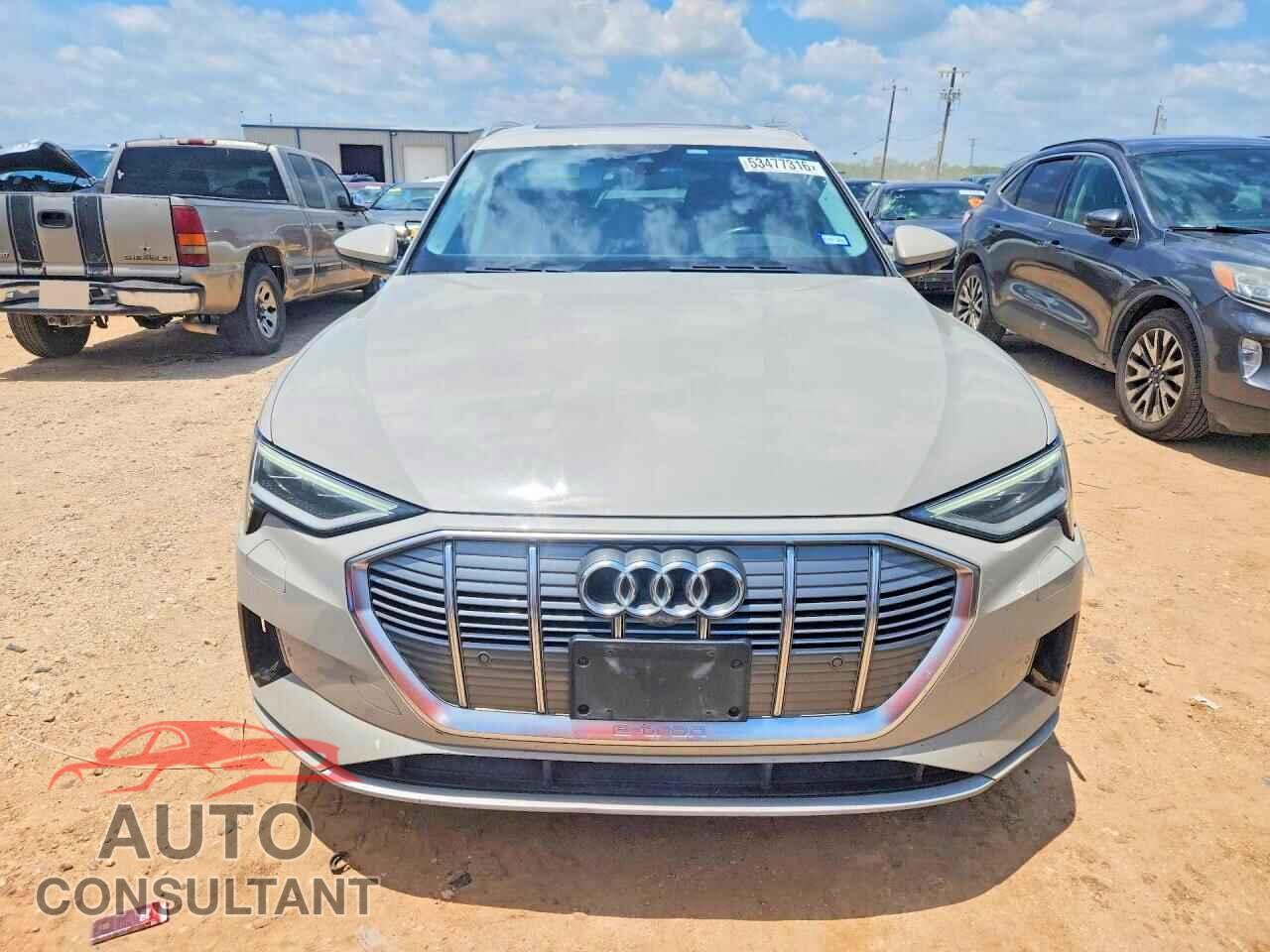 AUDI E-TRON 2019 - WA1VABGE5KB022870