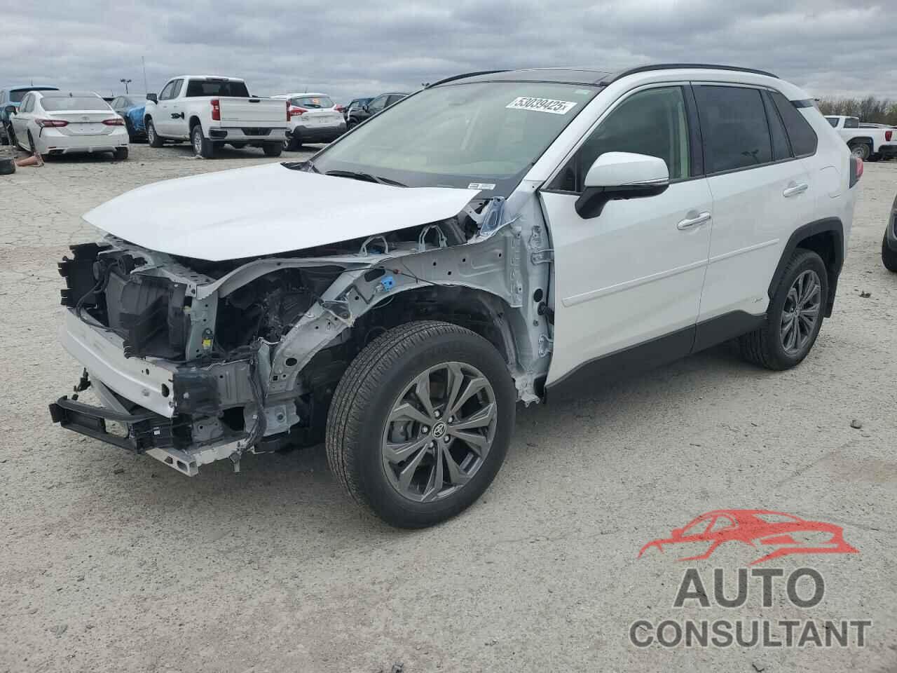 TOYOTA RAV4 2024 - JTMD6RFV8RJ046593