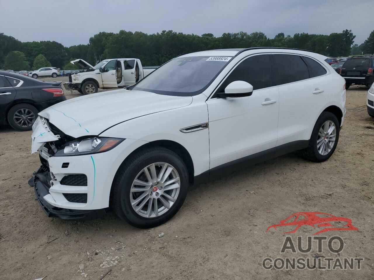 JAGUAR F-PACE 2018 - SADCK2FX1JA294810