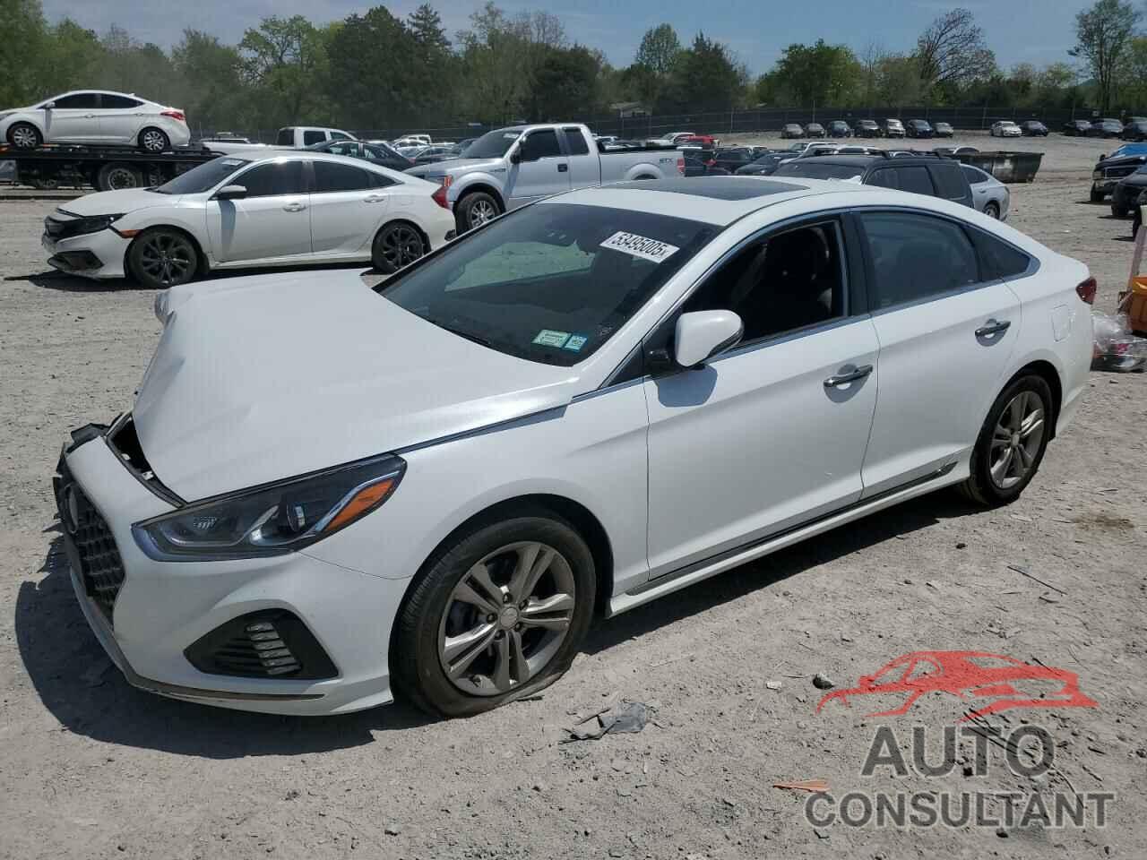 HYUNDAI SONATA 2018 - 5NPE34AF6JH699615