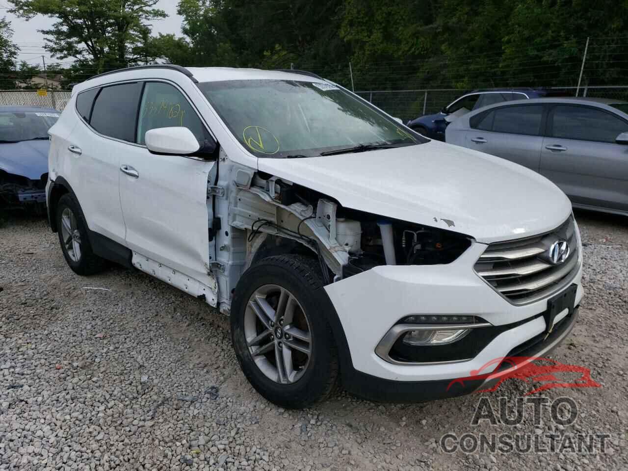 HYUNDAI SANTA FE 2017 - 5NMZUDLB6HH037372