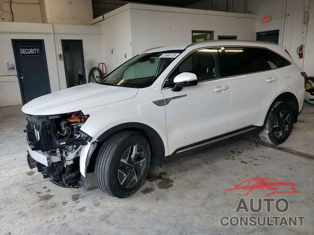 KIA SORENTO 2022 - KNDRGDLG0N5085855