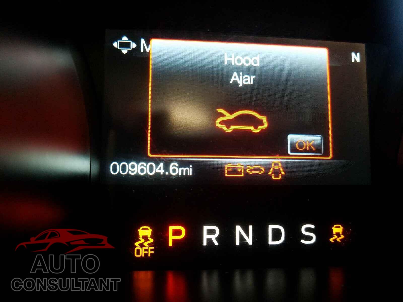 FORD MUSTANG 2019 - 1FA6P8TH2K5130041