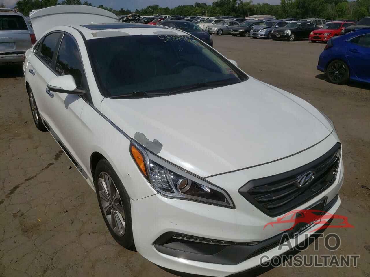 HYUNDAI SONATA 2016 - 5NPE34AF8GH434719
