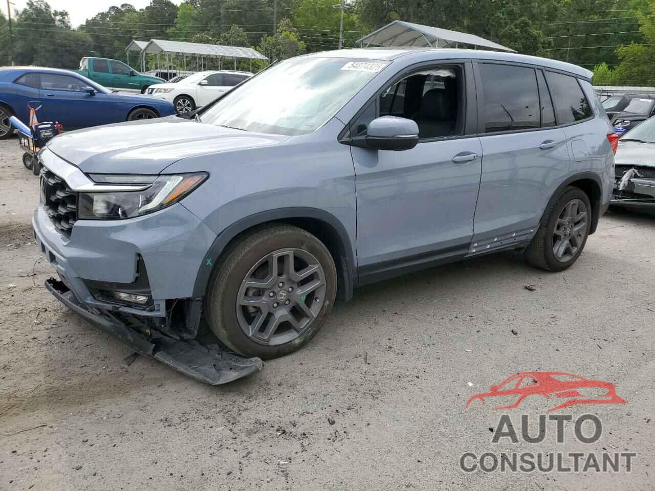 HONDA PASSPORT 2022 - 5FNYF7H51NB004450