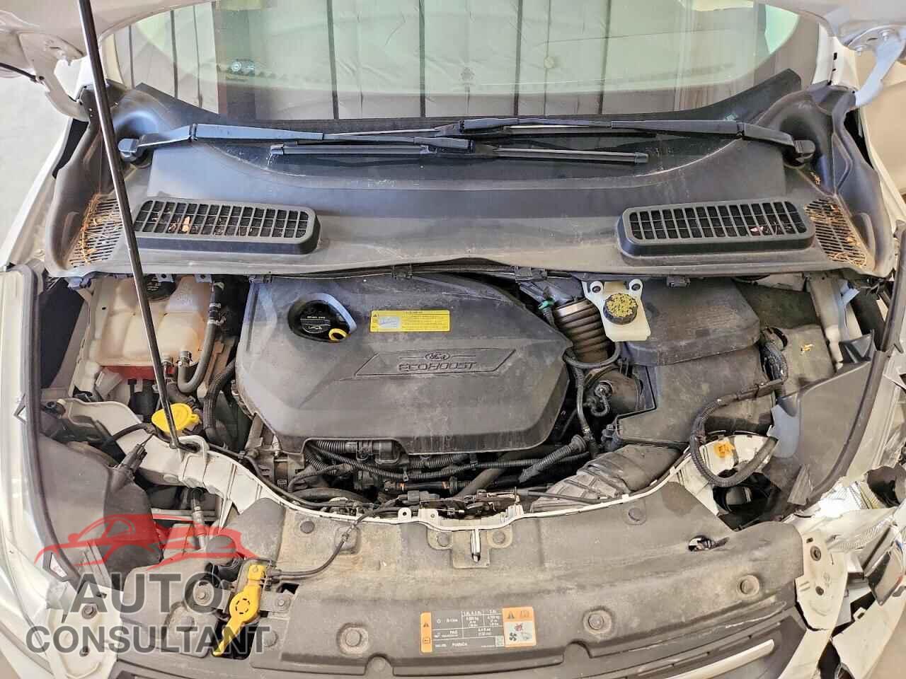 FORD ESCAPE 2014 - 1FMCU9GX4EUB40945