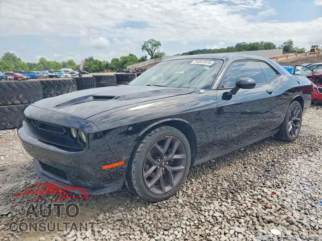 DODGE CHALLENGER 2019 - 2C3CDZAG3KH739495