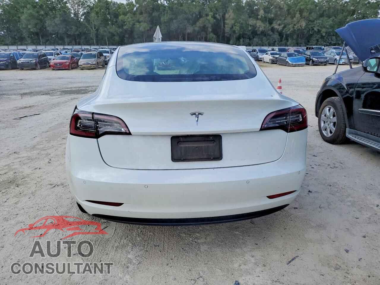 TESLA MODEL 3 2021 - 5YJ3E1EA1MF920538