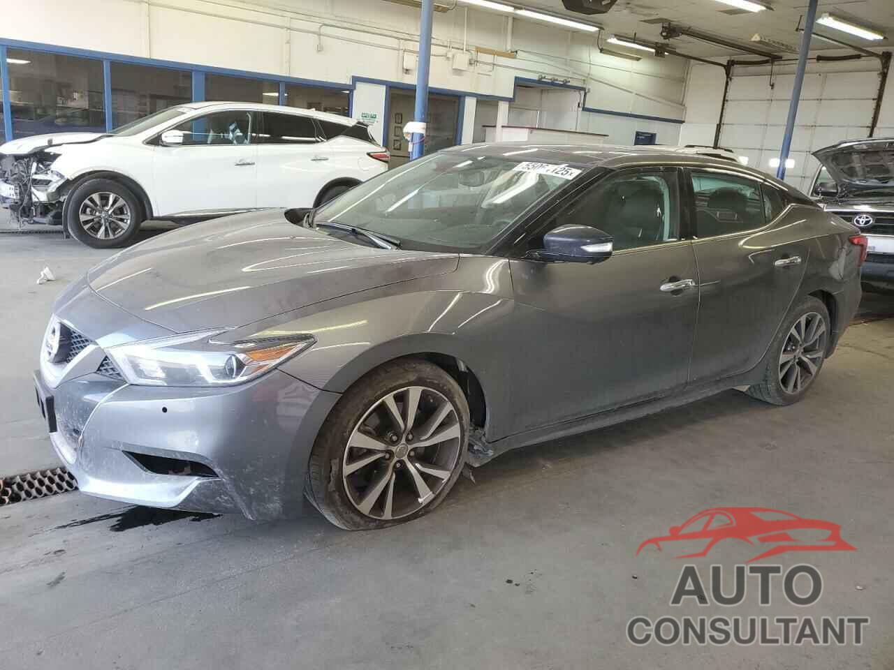 NISSAN MAXIMA 2016 - 1N4AA6APXGC435056