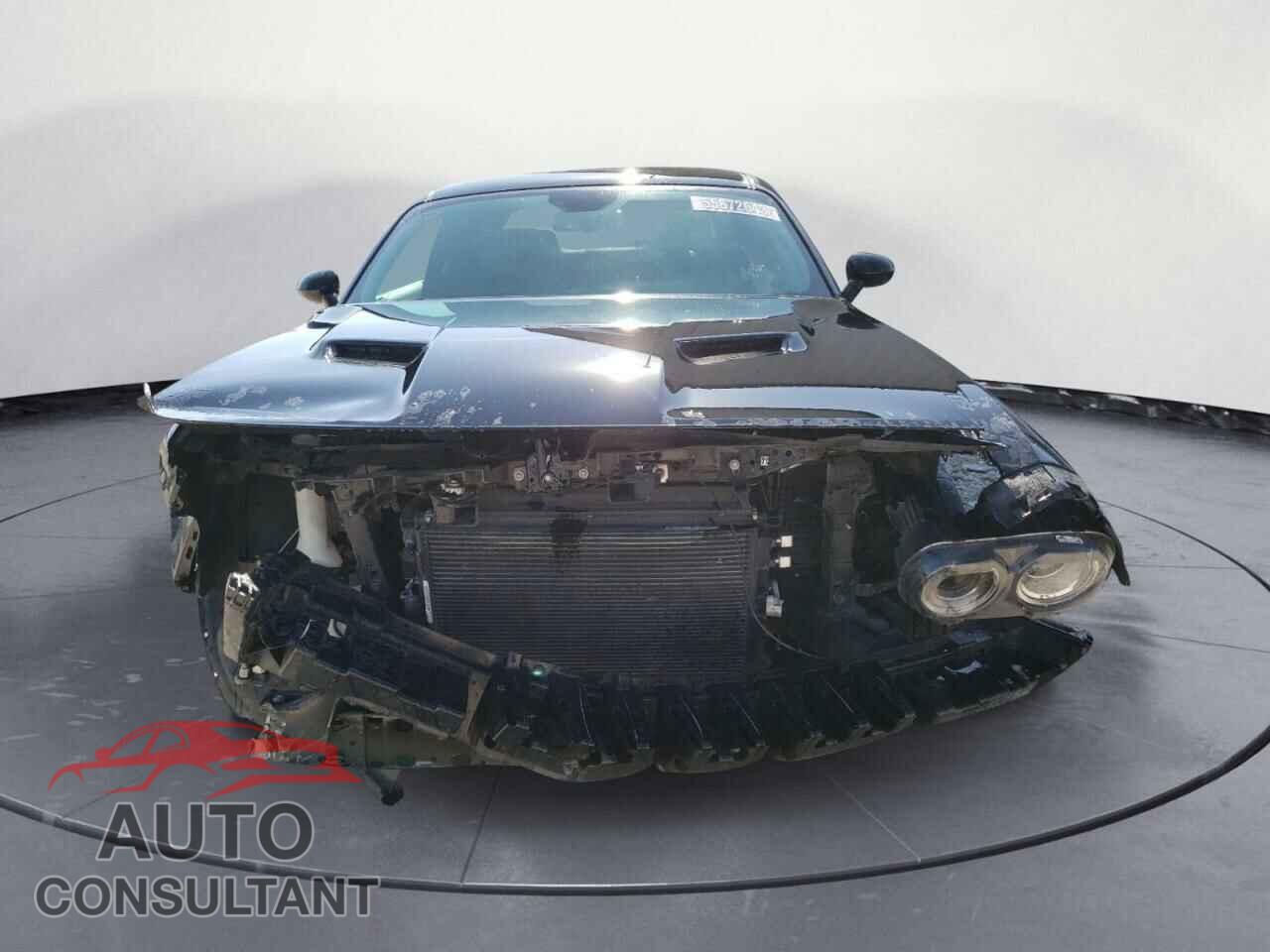 DODGE CHALLENGER 2019 - 2C3CDZAG1KH618383